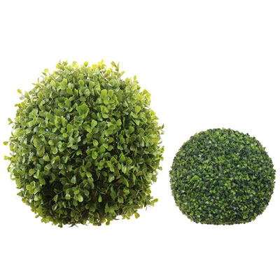 Buchsbäume