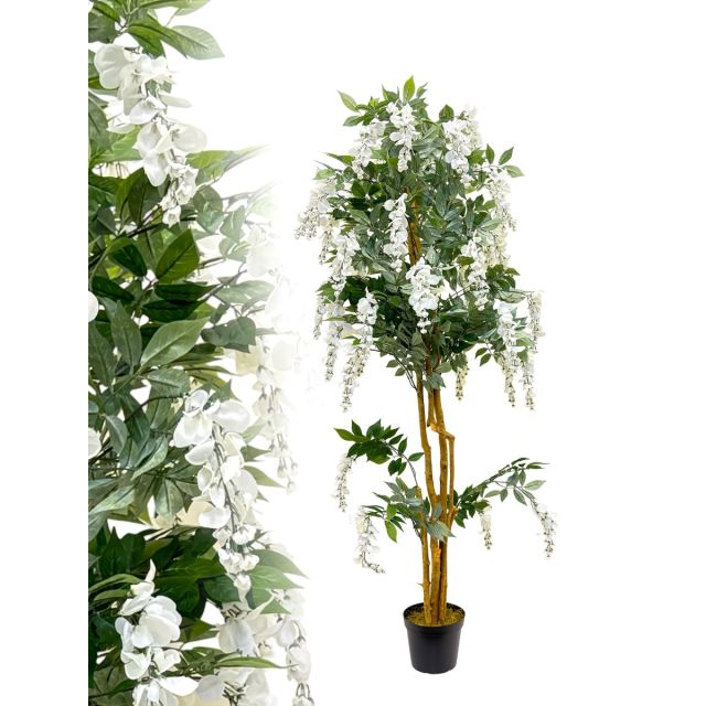 Wisteria weiss 180 cm