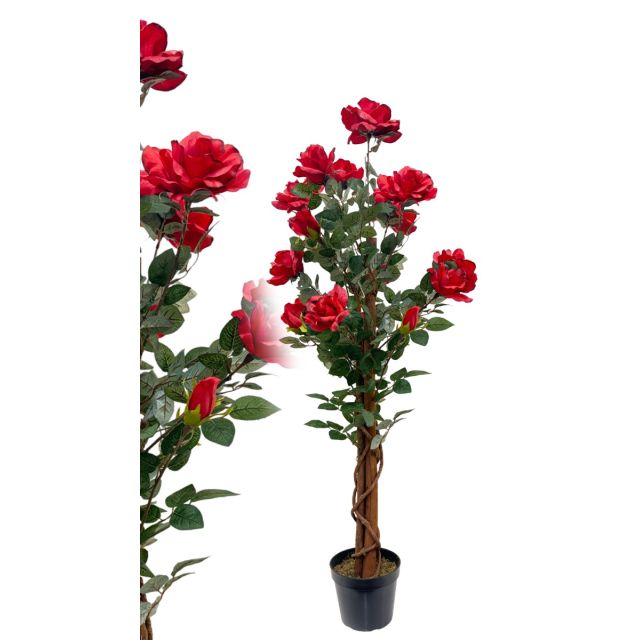 Rosenbaum rot 120 cm