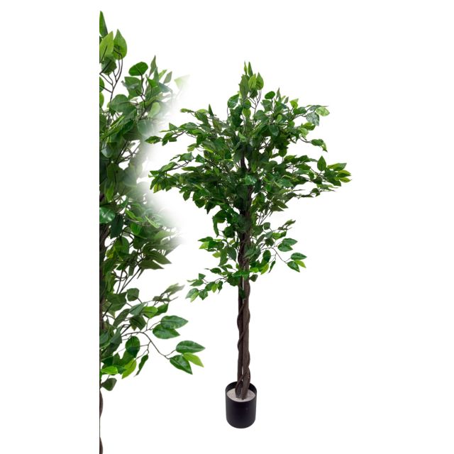 Ficus grün 160 cm