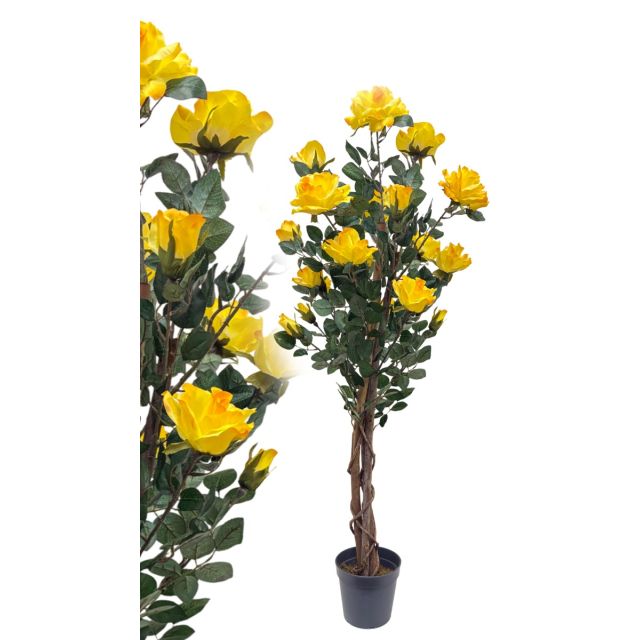 Rosenbaum Gelb 120 cm