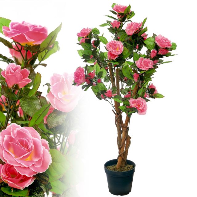 Rosenbaum rosa 90 cm