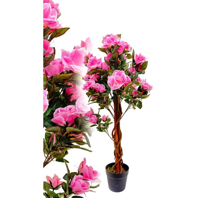 Rosenbaum rosa 90 cm