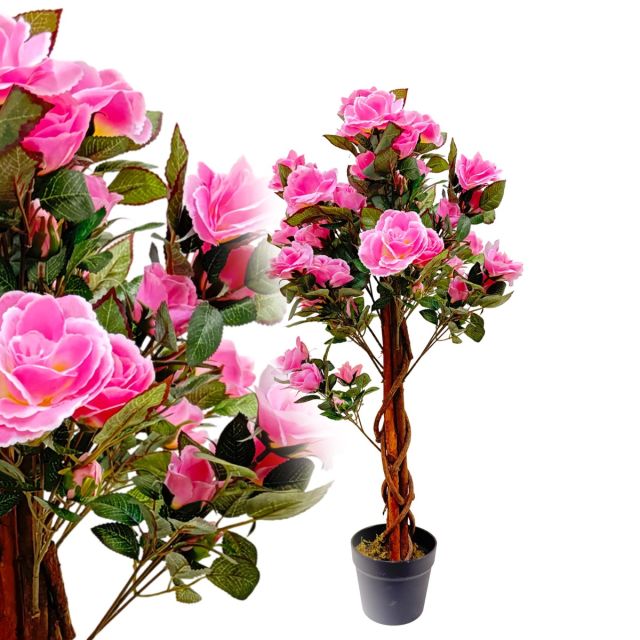 Rosenbaum rosa 90 cm