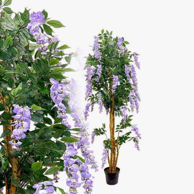Goldregen Blauregen Wisteria - Kunstbume | McPalms.de