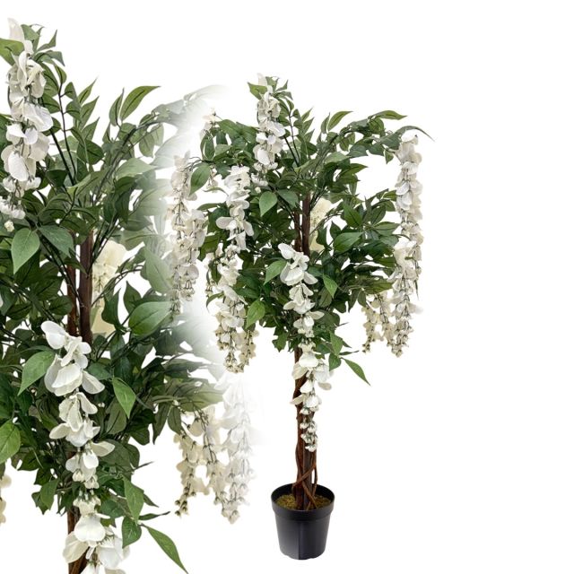 Wisteria weiss 120 cm