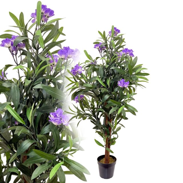 Oleander lila 120 cm