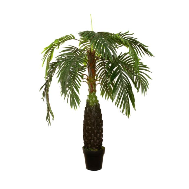 Phönixpalme 110 cm
