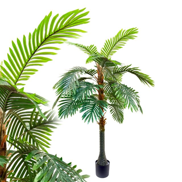 Cycuspalme 150 cm mit Topf