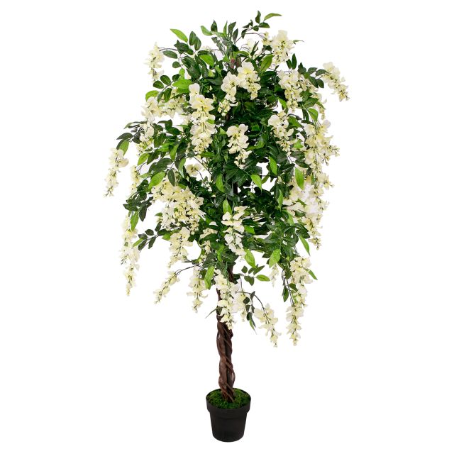 Wisteria weiss 190 cm