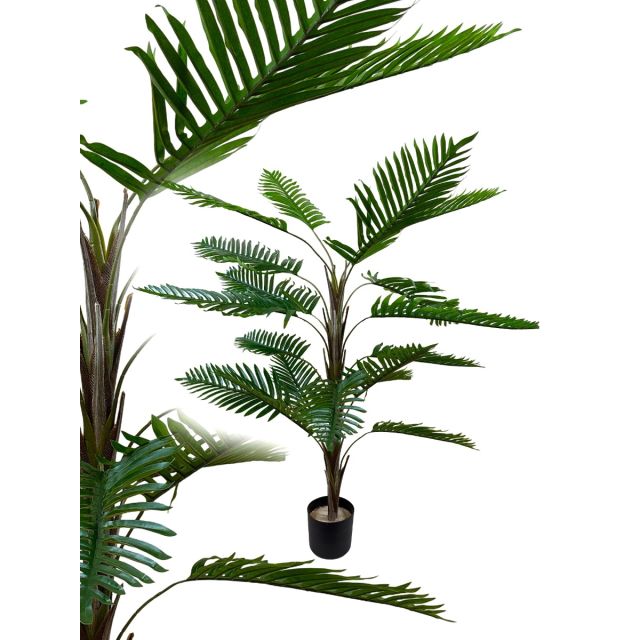 Phönixpalme 105 cm