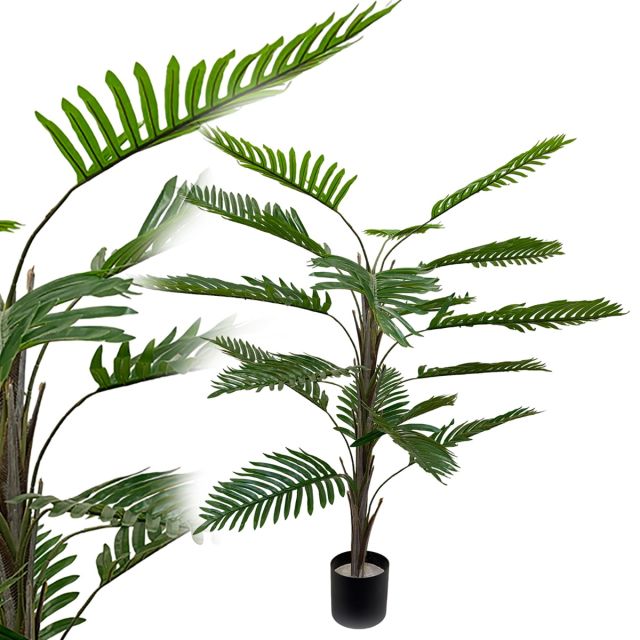 Phönixpalme 105 cm