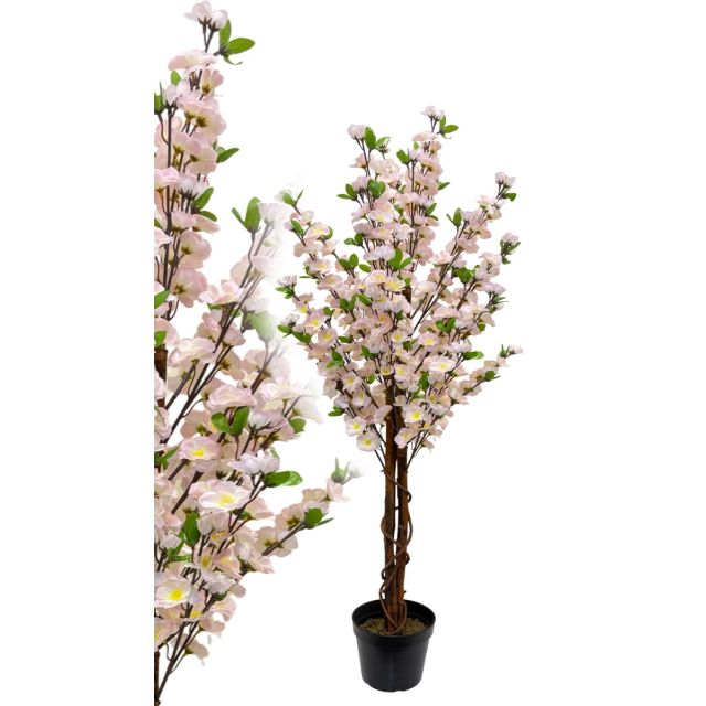 Pfirsichblütenbaum 120 cm