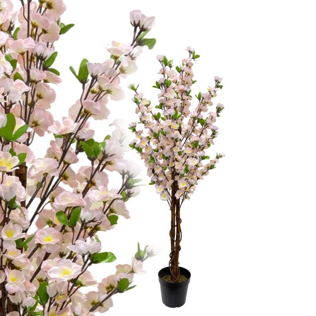 Pfirsichblütenbaum 120 cm
