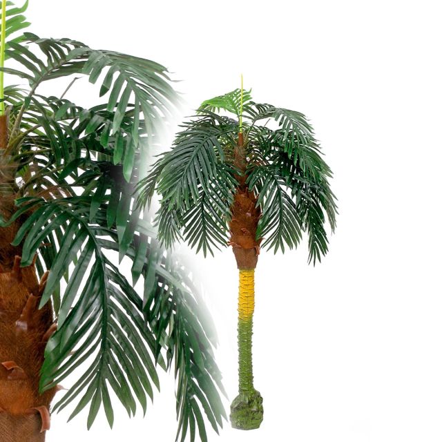 Kokospalme 170 cm