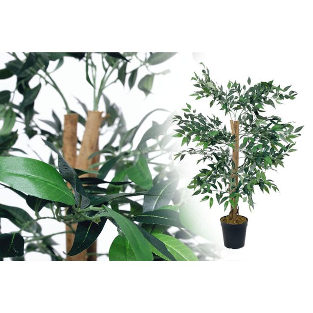 Ficus Benjamin grün 100 cm