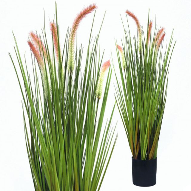 Japanisches Wiesengras 65 cm