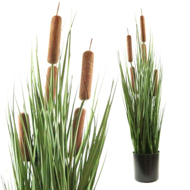 Schilfgras mit Rohrkolben 65 cm