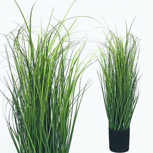 Wiesenschilfgras 85 cm