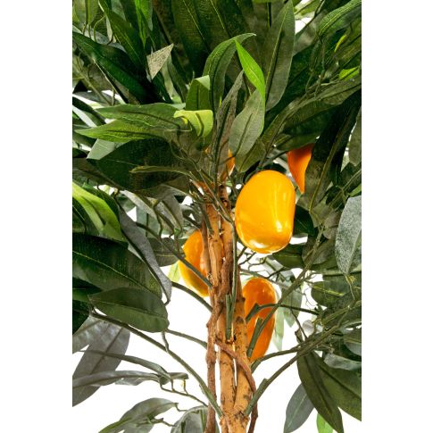 blumenkasten maße NEW GARDENING Pflanzenkasten online kaufen ✨ – BUTLERS