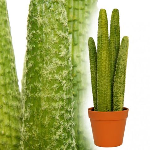 Kaktus 50 cm Kunstpflanze gnstig kaufen | McPalms.de