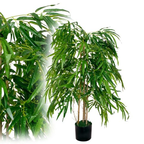 bambus regenrinne Wuchernder Bambus Goldrohrbambus kaufen | Phyllostachys aurea -  Goldrohrbambus main image 1